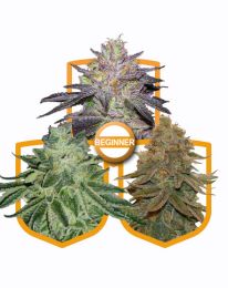 Beginner Strains Variety Pack